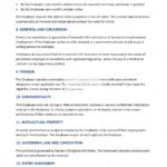 Detailed version — page 3