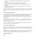 Detailed version — page 3