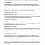 Detailed version — page 3