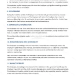 Detailed version — page 3