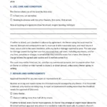 Detailed version — page 3